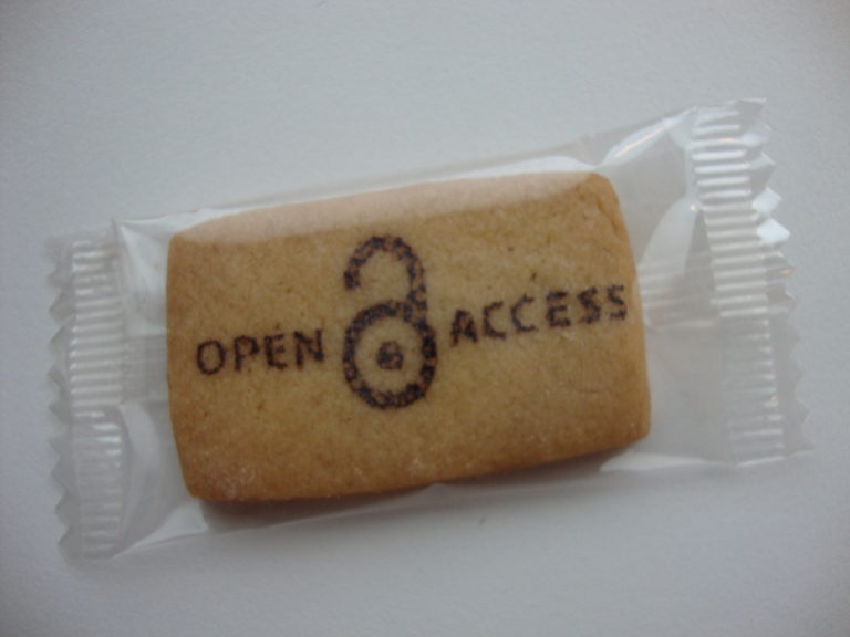 Public.Resource.Org and others petition  Bureau of Indian Standards for Open Access